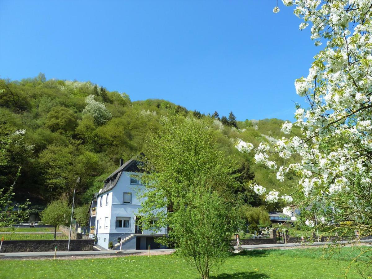 Haus Moselwiese Альф Екстер'єр фото